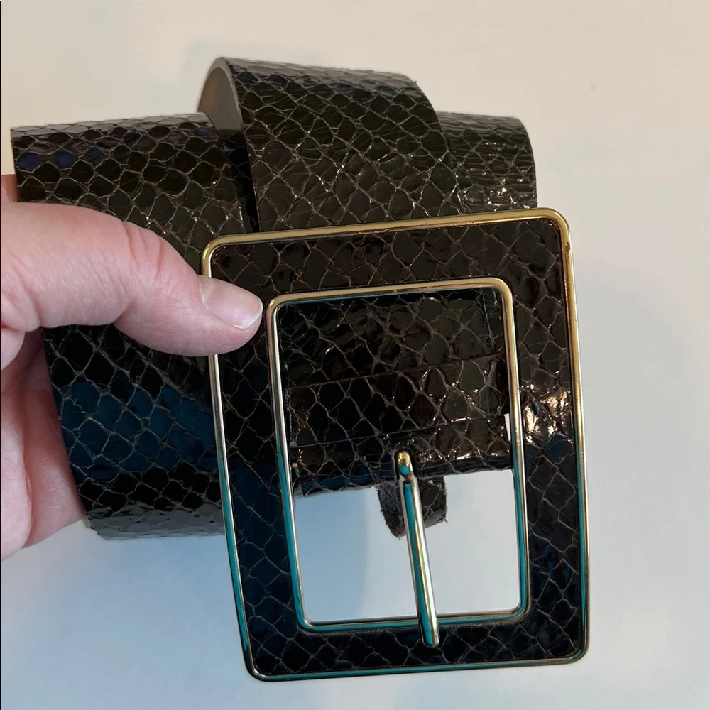 Banana Republic - Dark Brown, Snakeskin Textured Belt, Gold Accents, L